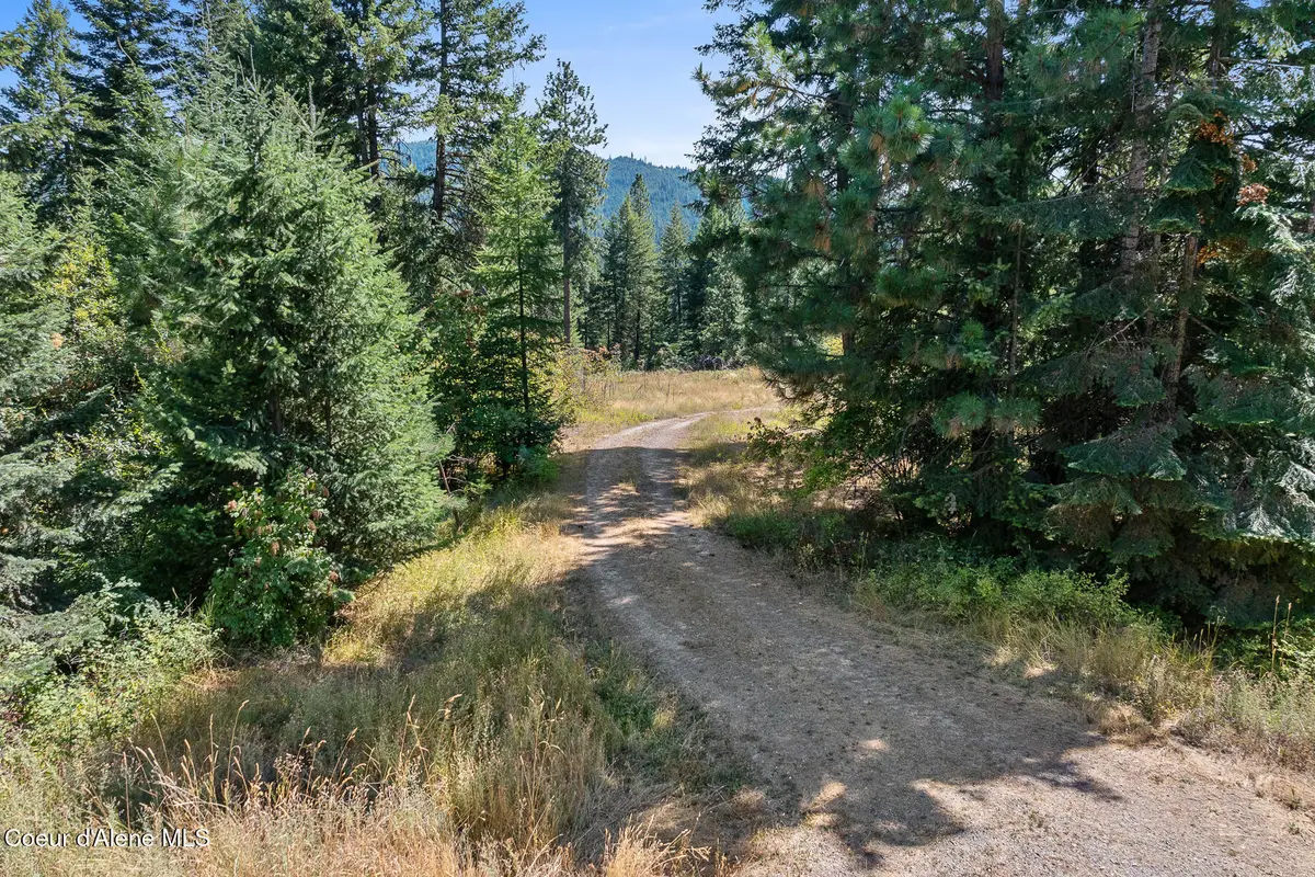 Lot 4 FSR 439, Harrison, ID 83833 - Image #1