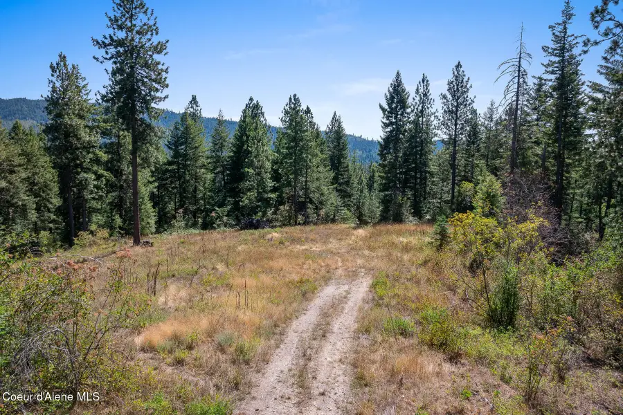 Lot 4 FSR 439, Harrison, ID 83833 - Image #2