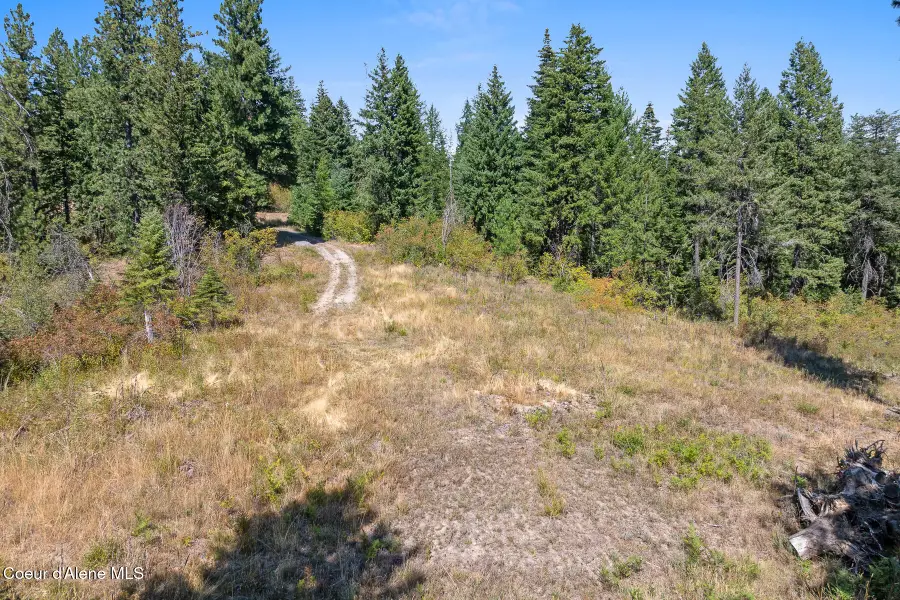 Lot 4 FSR 439, Harrison, ID 83833 - Image #3