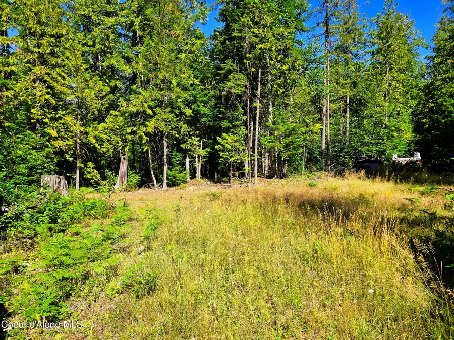 Box Canyon 5 acres, Sandpoint, ID 83864 - #3