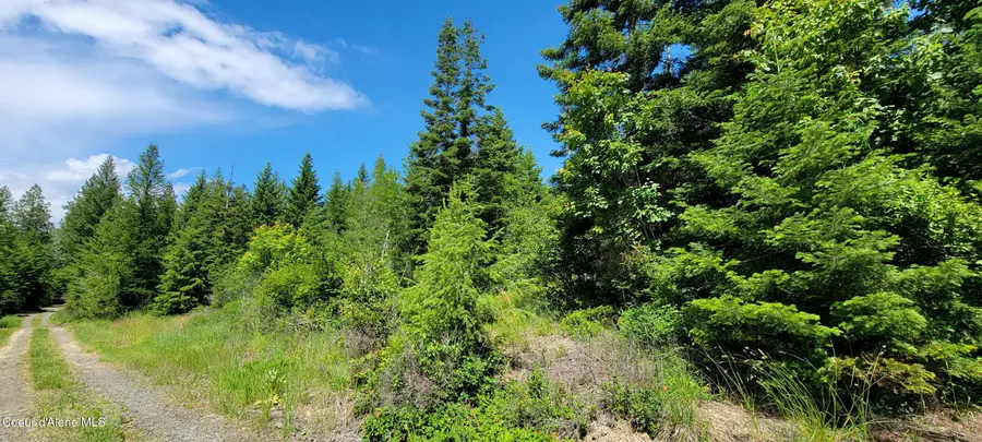 NNA Bootlegger Lane- Parcel 1, Bonners Ferry, ID 83805 - Image #3