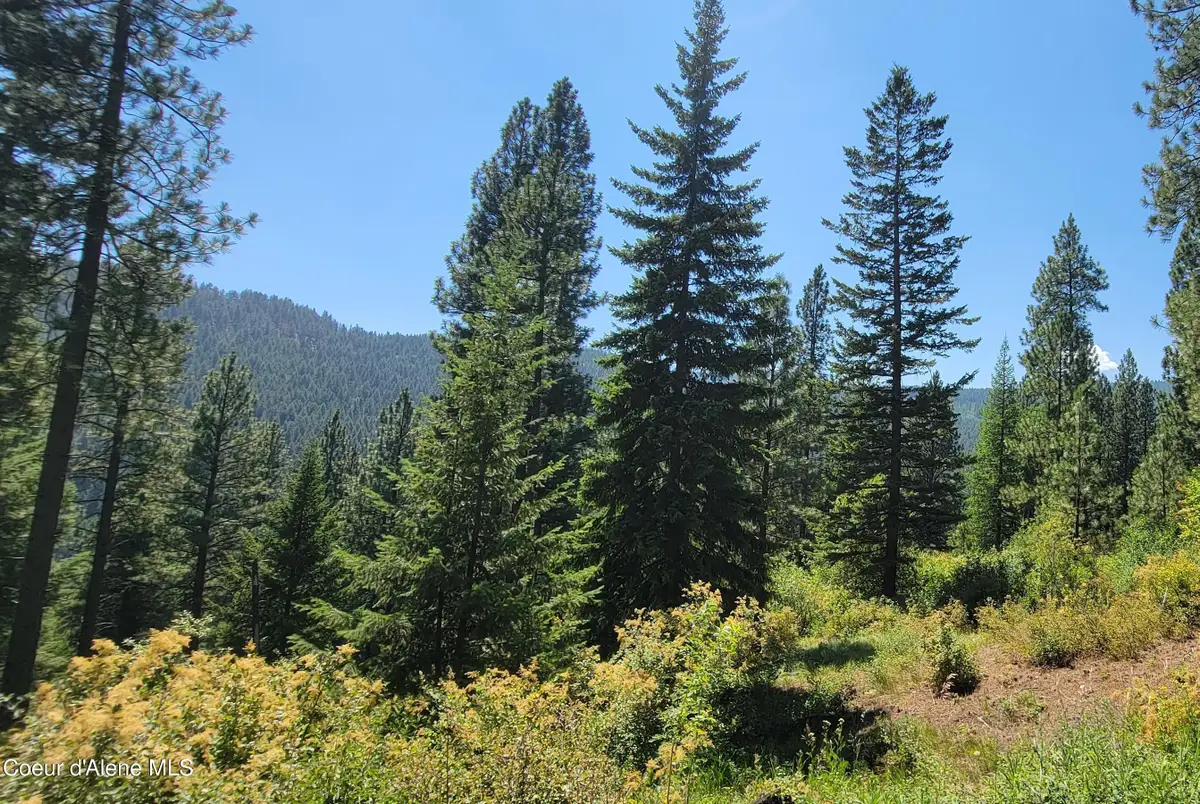 NNA Snowcat Lane Tract 4, Bonners Ferry, ID 83805 - Image #1