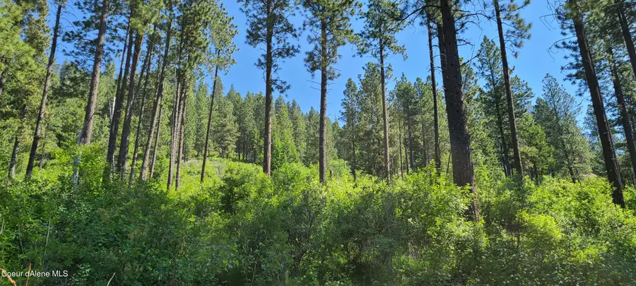 NNA Snowcat Lane Tract 4, Bonners Ferry, ID 83805 - Image #3