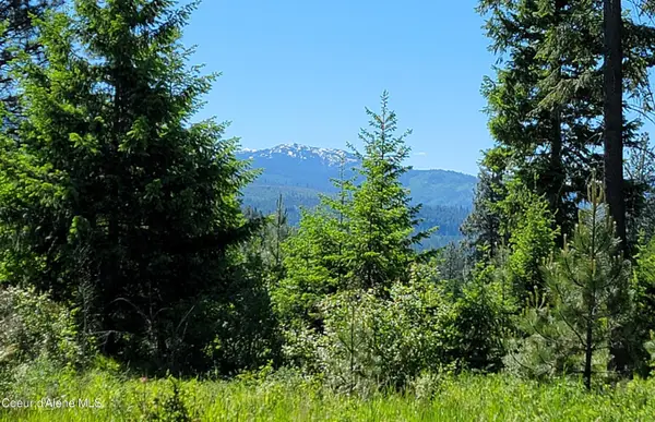 NNA Falcon Ridge Drive - #1, Naples, ID 83847