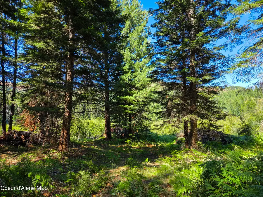 NNA Pup Paw 10 acres, Priest River, ID 83856 - Image #2