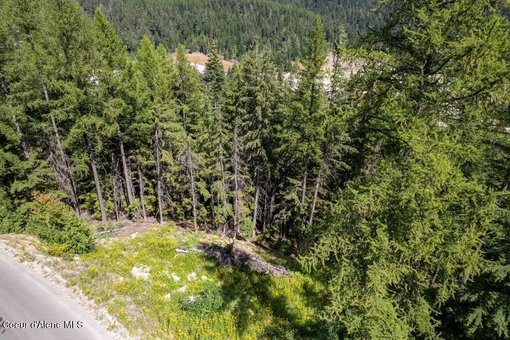 NKA Telemark Rd Lot 9, Sandpoint, ID 83864 - Image #1