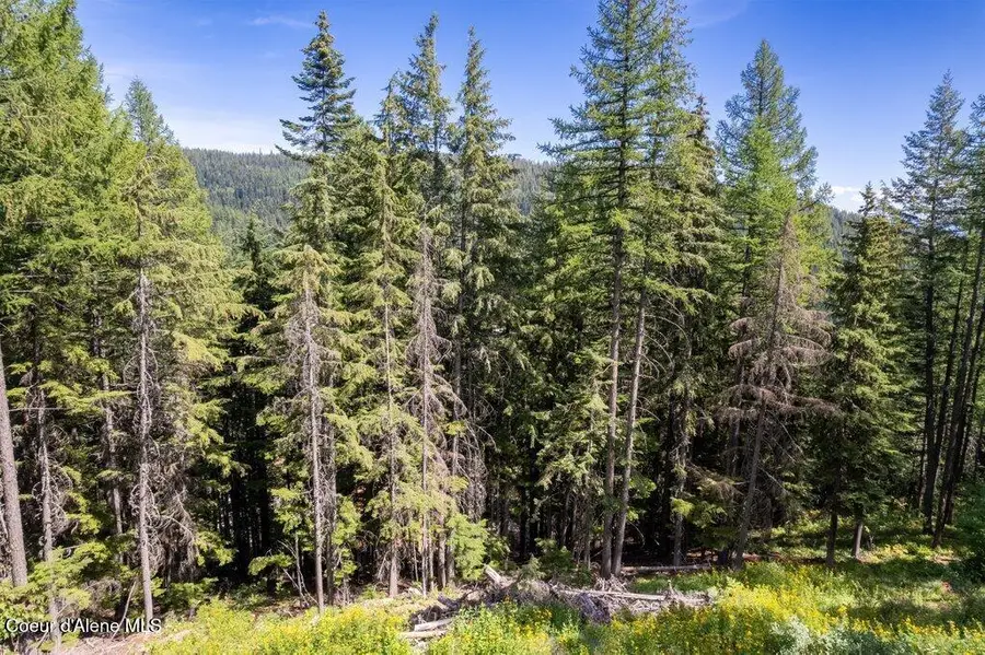 NKA Telemark Rd Lot 9, Sandpoint, ID 83864 - Image #3
