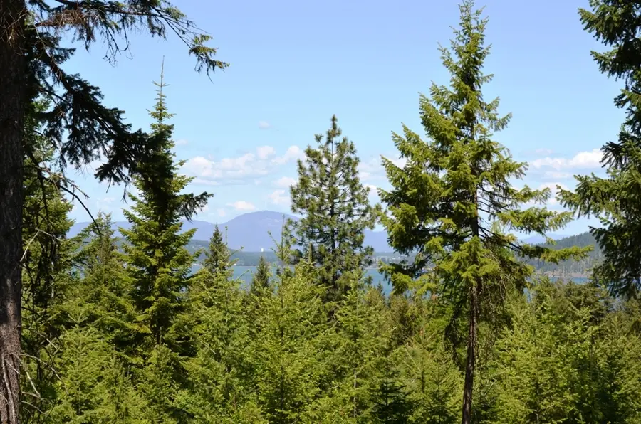 5343 S JACKLEG TRL, Harrison, ID 83833 - #2