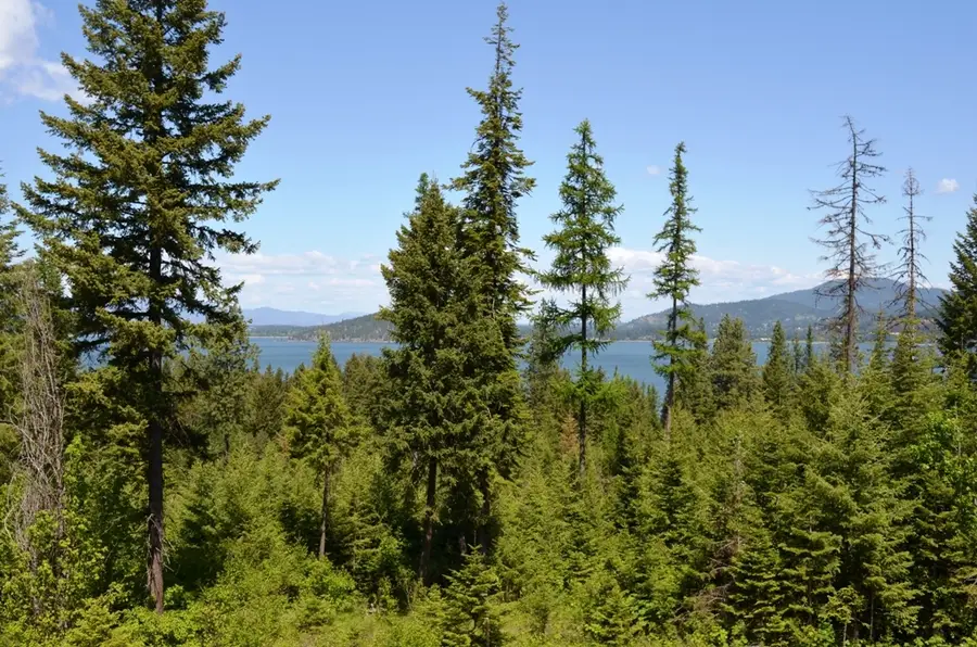 5343 S JACKLEG TRL, Harrison, ID 83833 - #3