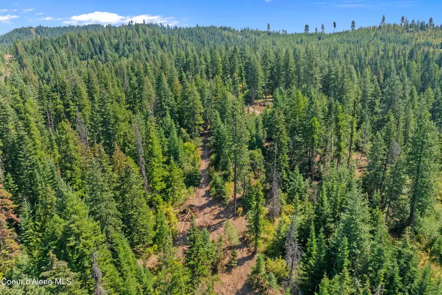 2300 S DUNLAP RD, Harrison, ID 83833 - Image #3