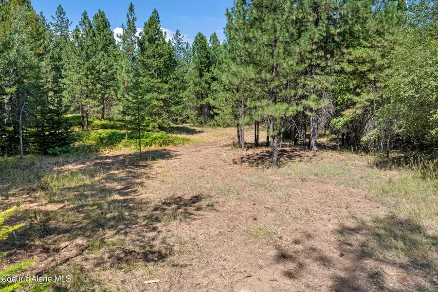 NKA Dunlap Rd, Harrison, ID 83833 - Image #3