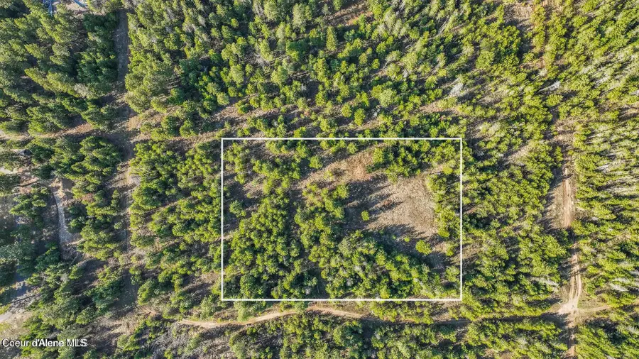 Lts 2, Spirit Lake, ID 83869 - Image #3