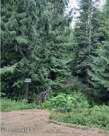 317 E Ridge Rd, Saint Maries, ID 83861 - Image #2