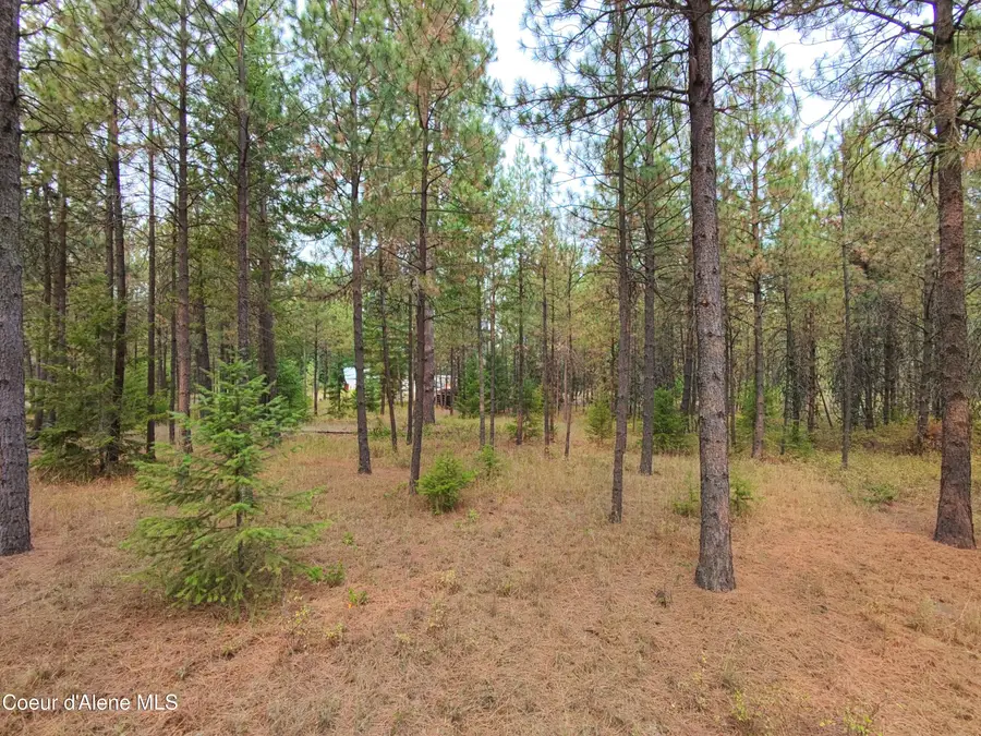 NA 11th Ave, Spirit Lake, ID 83869 - Image #2