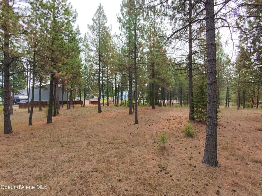 NA 11th Ave, Spirit Lake, ID 83869 - Image #3