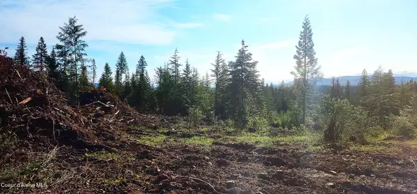 0 Ryan Loop, St. Maries, ID 83861