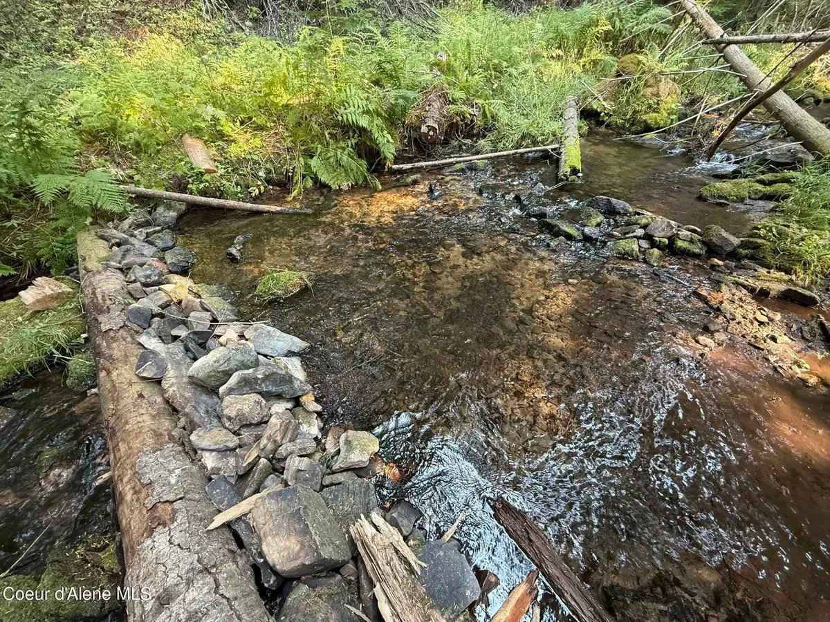 700 White Pine Way, Fernwood, ID 83830 - Image #1