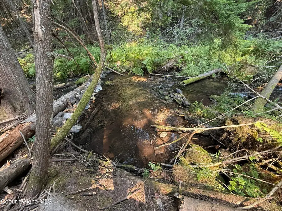 700 White Pine Way, Fernwood, ID 83830 - Image #2