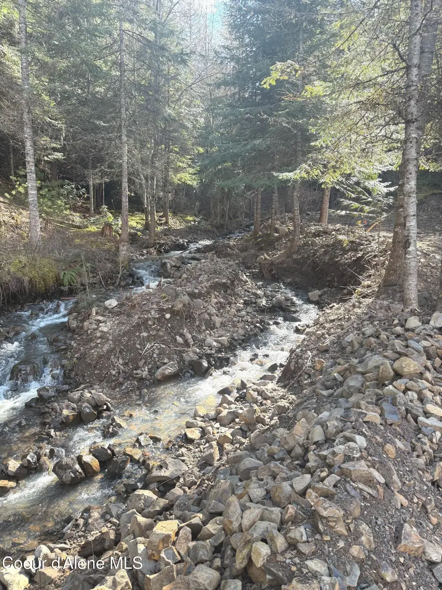 Flying Eagle Lot 19, Harrison, ID 83833 - #2