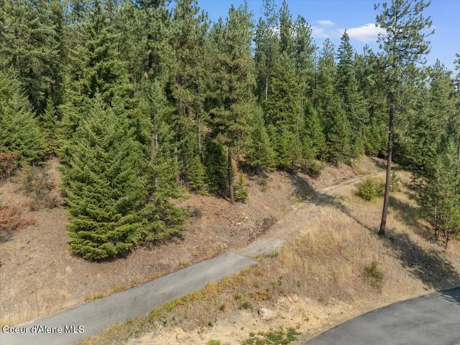 10795 W BELLA RIDGE DR, Coeur Dalene, ID 83814 - Image #3