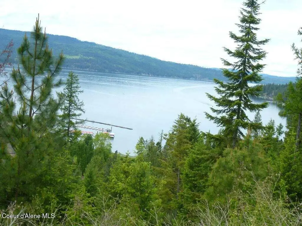 Lot 11 Flying Eagle Dr, Harrison, ID 83833 - #1