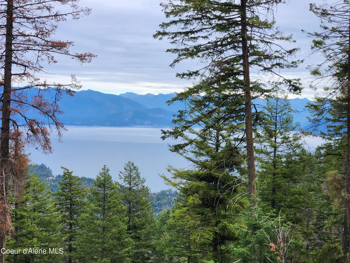 NNA Talache Black Trail, Sagle, ID 83860 - Image #1