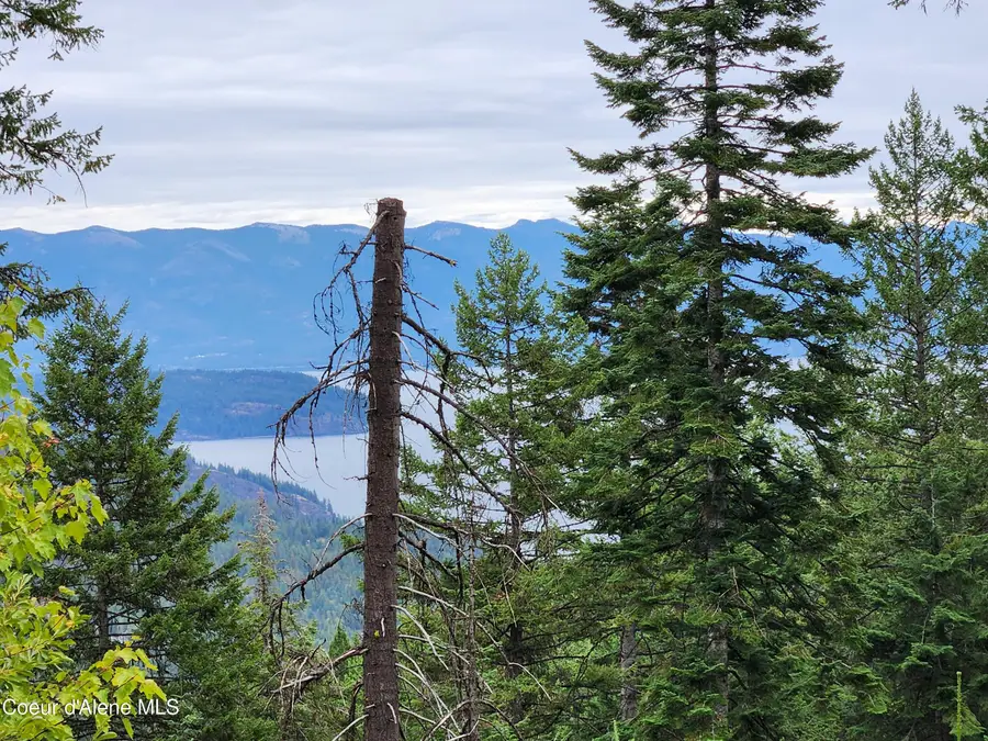 NNA Talache Black Trail, Sagle, ID 83860 - Image #2