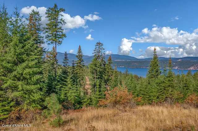 9130 S LAHAINA RD, Harrison, ID 83833 - #1