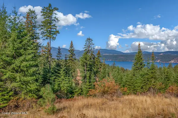 9130 S LAHAINA RD, Harrison, ID 83833