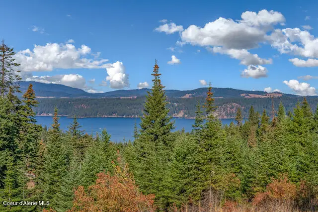 9130 S LAHAINA RD, Harrison, ID 83833 - #2