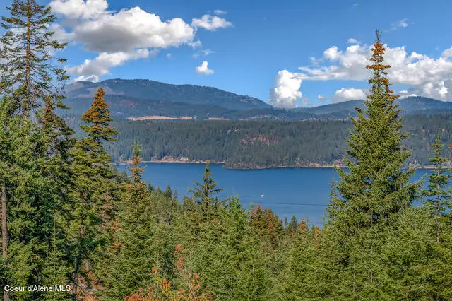 9130 S LAHAINA RD, Harrison, ID 83833 - #3