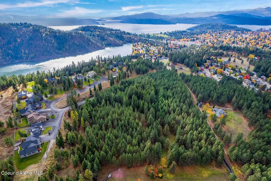 NKA Frosty Pine Trail, Coeur Dalene, ID 83814 - Image #2