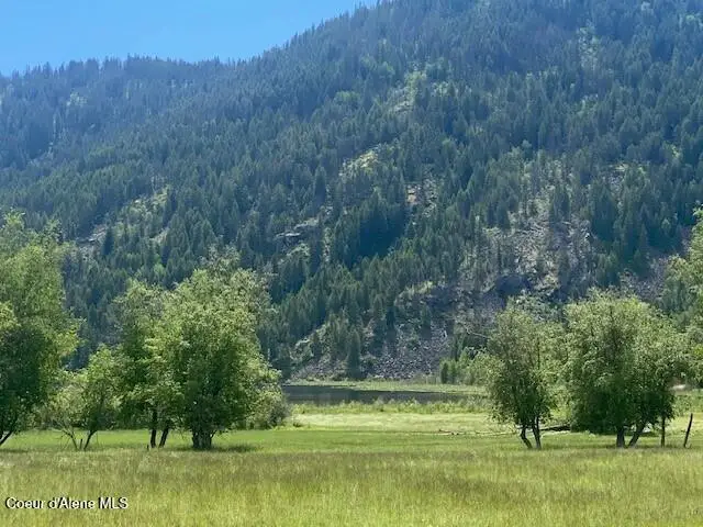 NNA 80 acres Blue Lake Rd, Priest River, ID 83856 - #2