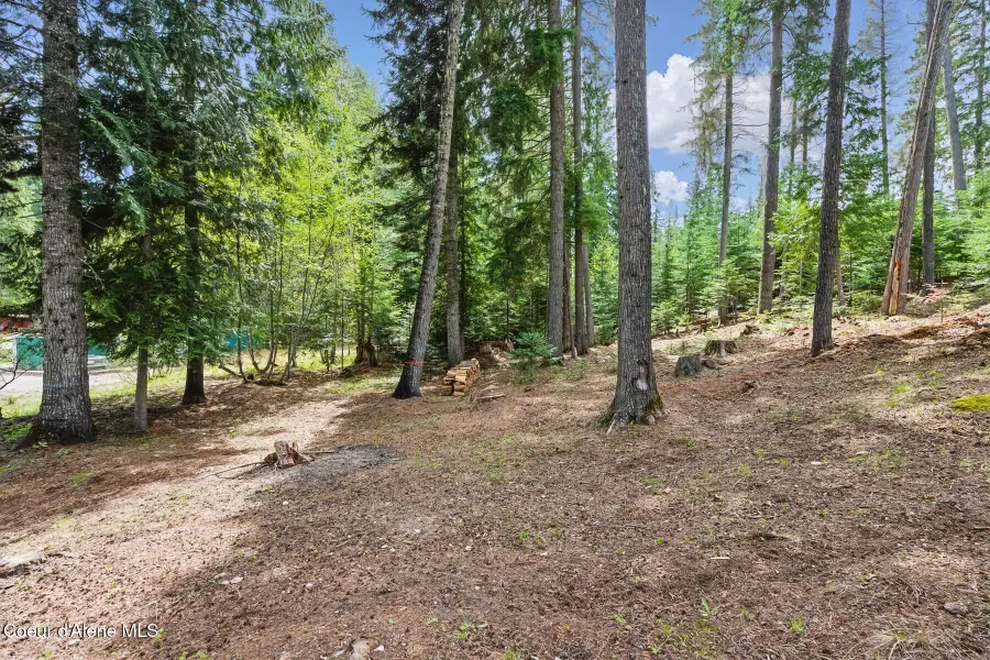 Lot 28 Bruin Rd, Nordman, ID 83848 - Image #2