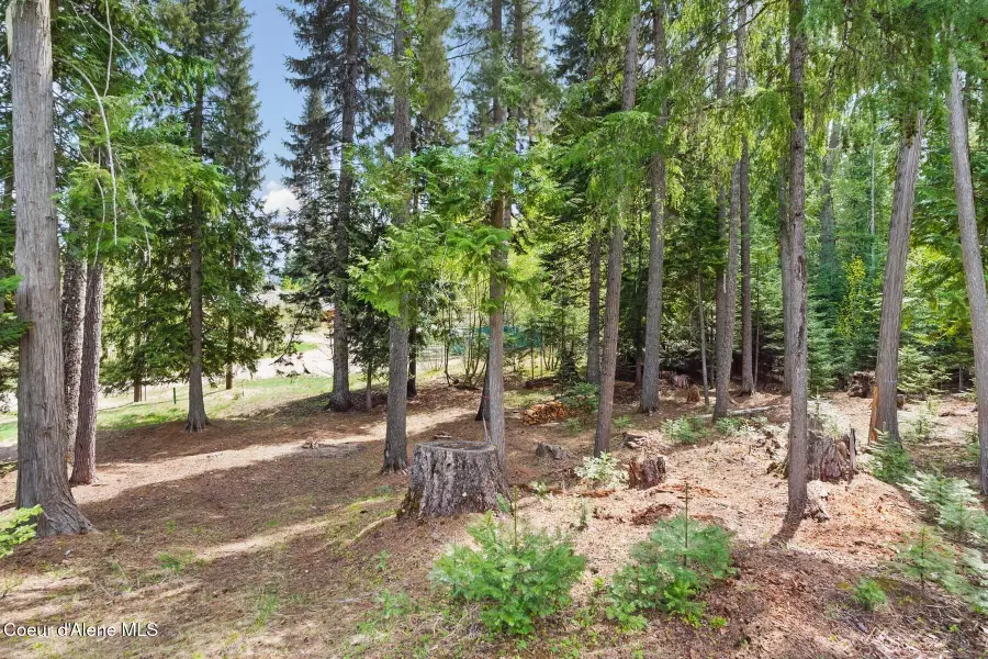 Lot 30 Bruin Rd, Nordman, ID 83848 - Image #3