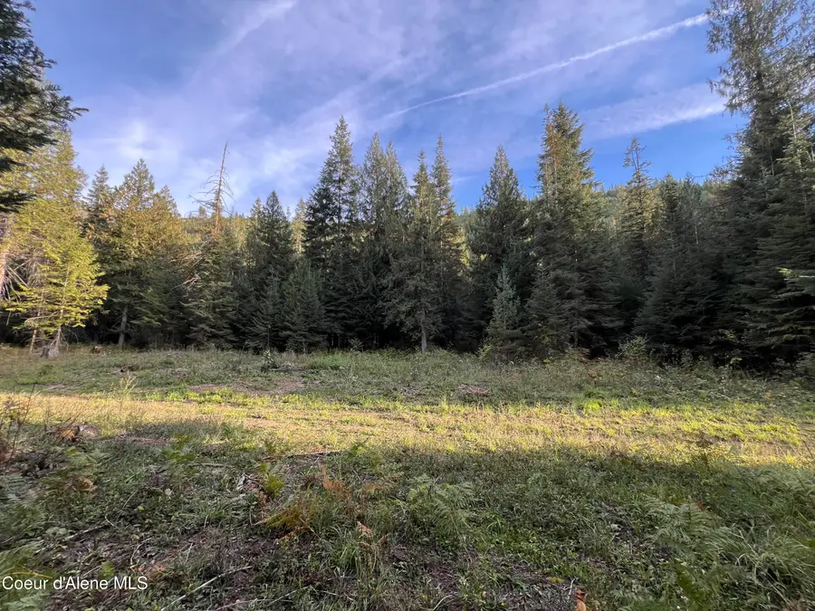 3579 Bear Creek Rd, Kingston, ID 83839 - Image #2