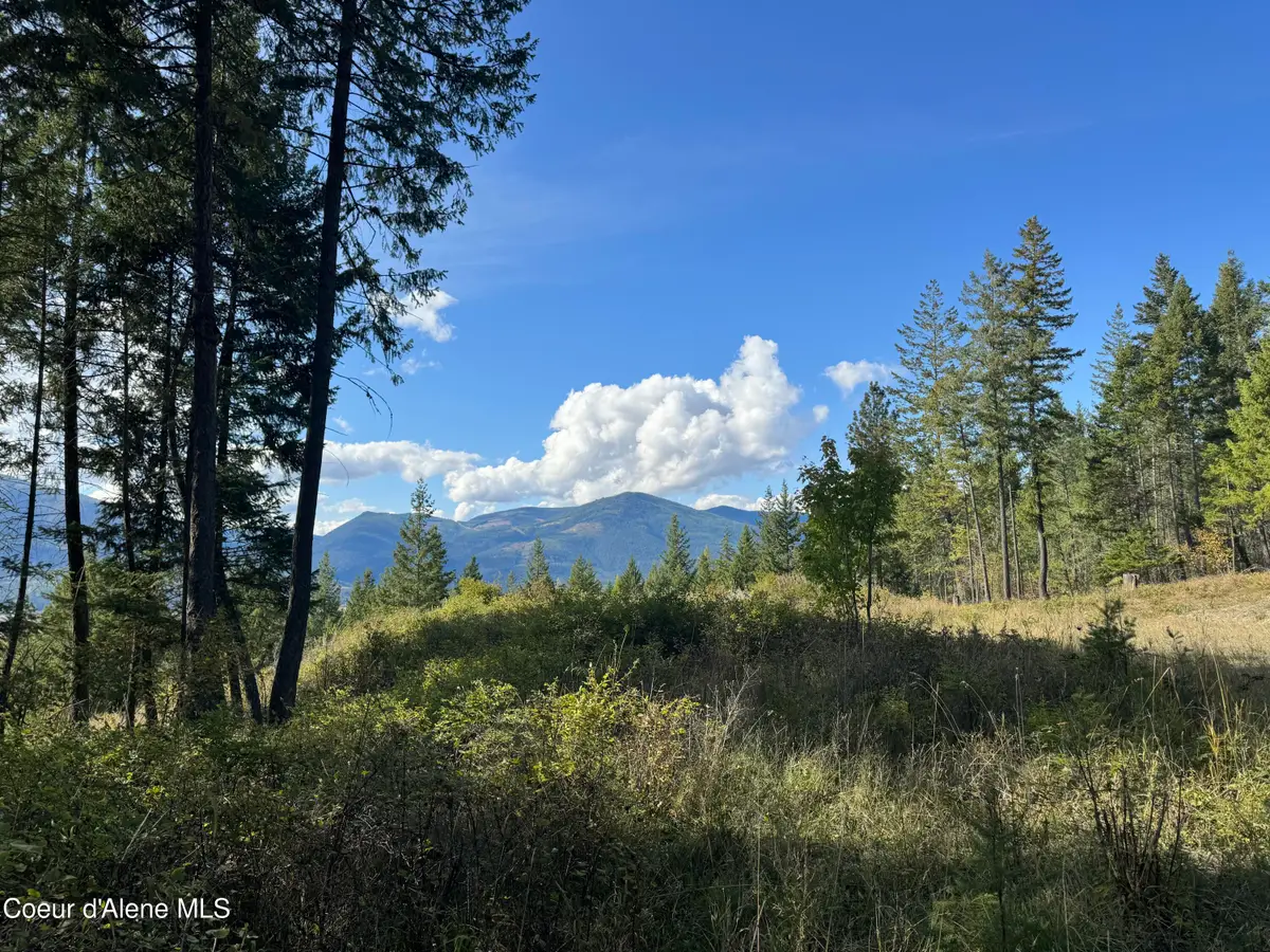 NNA Bootlegger Lane - Stein Mtn, Bonners Ferry, ID 83805 - #1