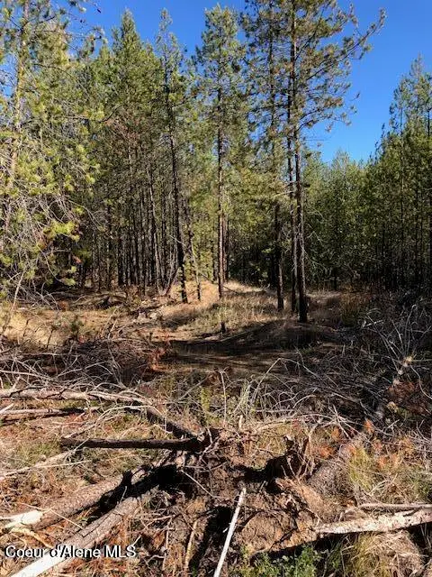 NKA Flintlock Way, Blanchard, ID 83804 - #2