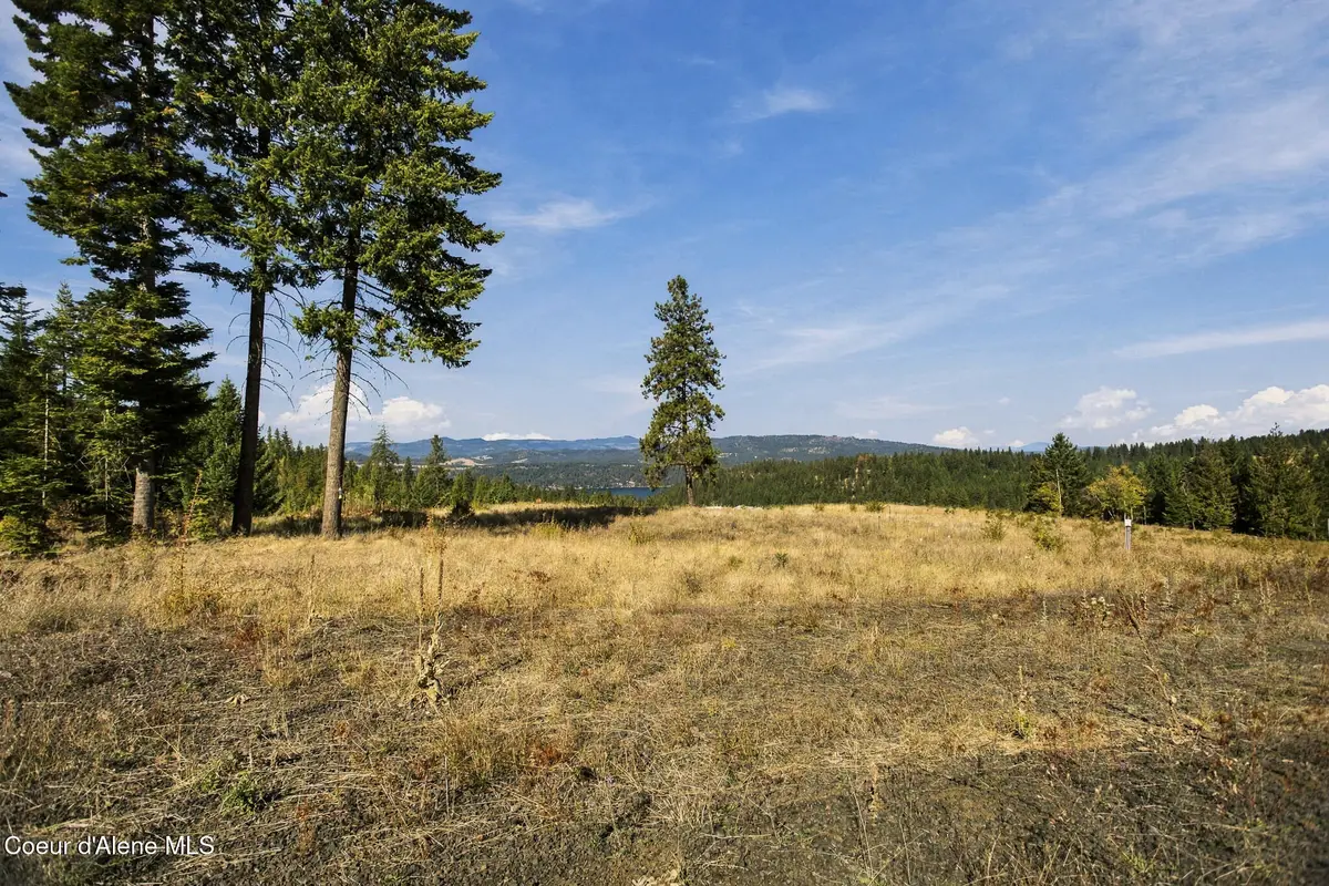 18903 S Hungry Hollow Dr, Harrison, ID 83833 - #1