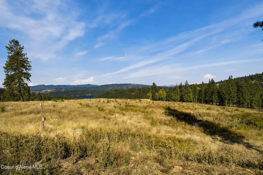 18903 S Hungry Hollow Dr, Harrison, ID 83833 - #2