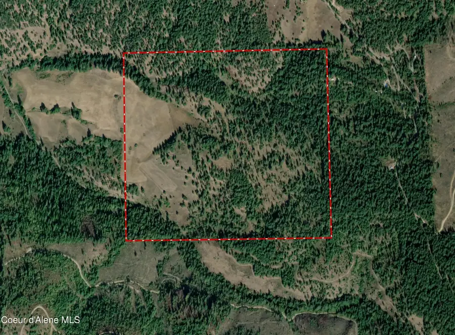 NNA Clark Creek Rd., Cataldo, ID 83810 - #3