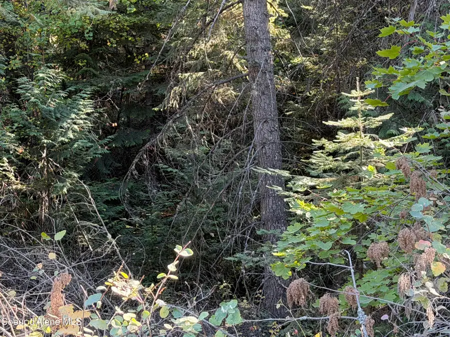 NNA Gray Eagle, Rathdrum, ID 83858 - #2