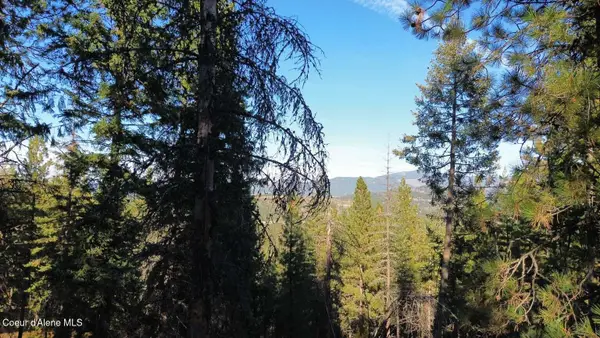 13413 Kelly Gulch Rd, Pinehurst, ID 83850