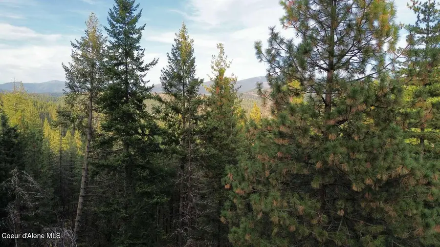 13413 Kelly Gulch Rd, Pinehurst, ID 83850 - #2