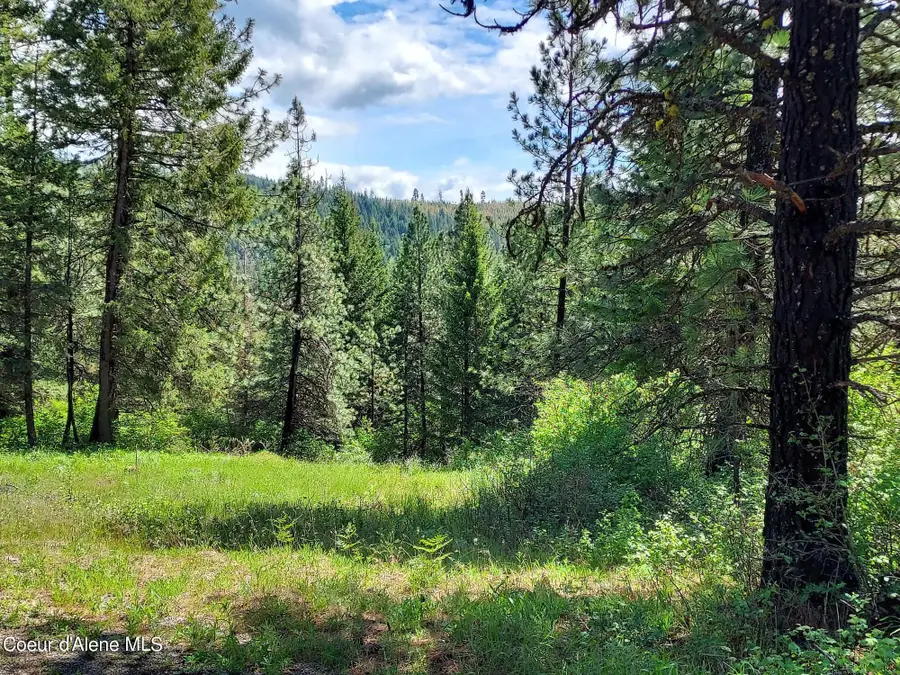 NKA E CANTON LN, Harrison, ID 83833 - Image #3