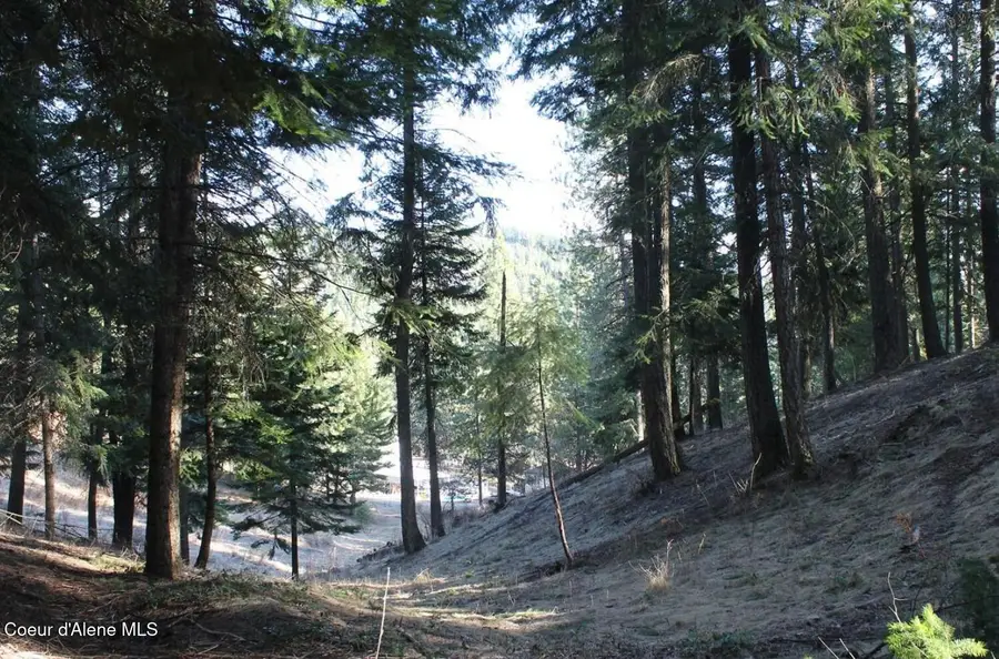 NKA E Haven Dr, Coeur Dalene, ID 83814 - #2