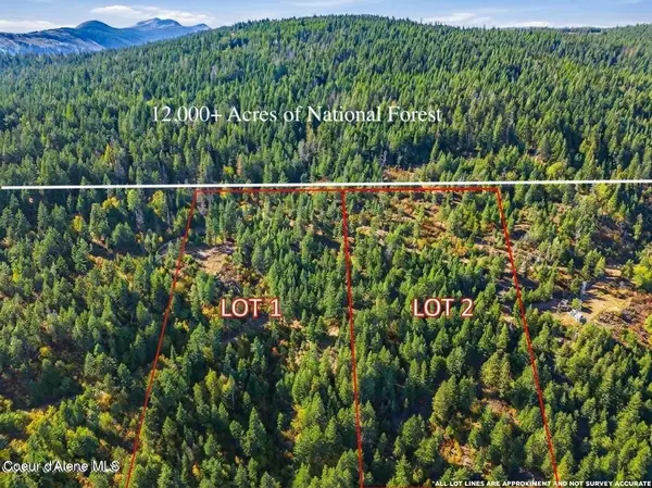 LT 1/LT 2 Juniper Ln., Naples, ID 83847