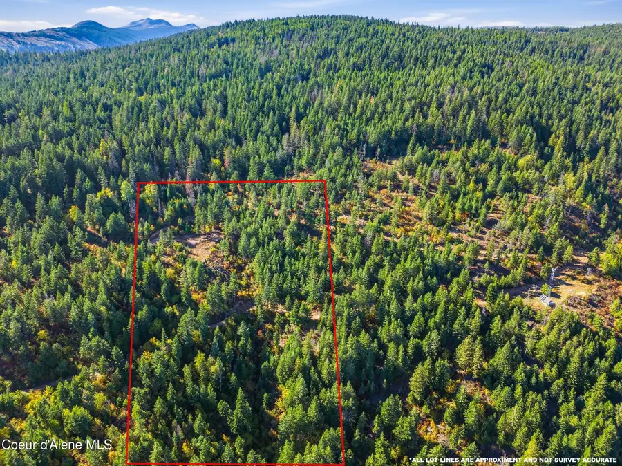 LT 1/LT 2 Juniper Ln., Naples, ID 83847 - #2