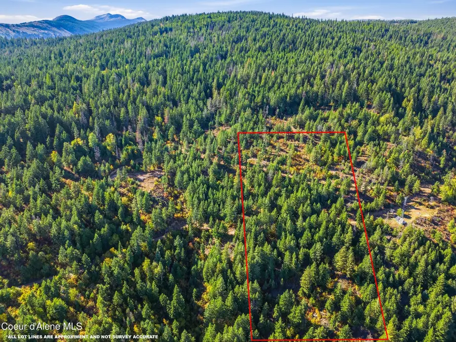LT 1/LT 2 Juniper Ln., Naples, ID 83847 - #3