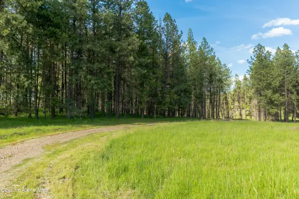 Highway 97, Harrison, ID 83833